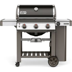 20190513140709 weber genesis ii e 310 gbs black 61011175