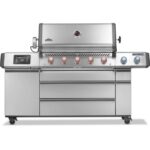 pro665vxrsibnss napoleon 800x800 homing img1