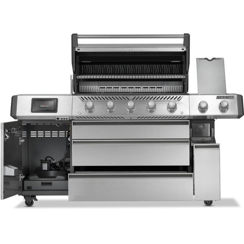 pro665vxrsibnss napoleon 800x800 homing img4