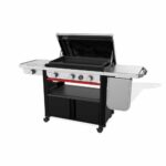 prod Weber 1500247 01 800
