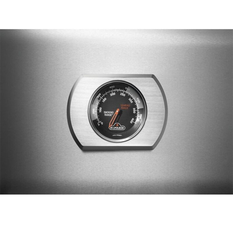 psistaria ygraeriou napoleon rogue pro 425 sip stainless steel 800x800 img6 2