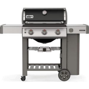 weber psistaria 61011129 1 1