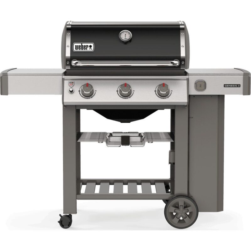 Weber Genesis II E-310 GBS 61011129