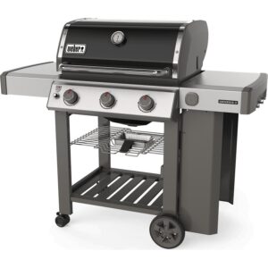 weber psistaria 61011129 4 1